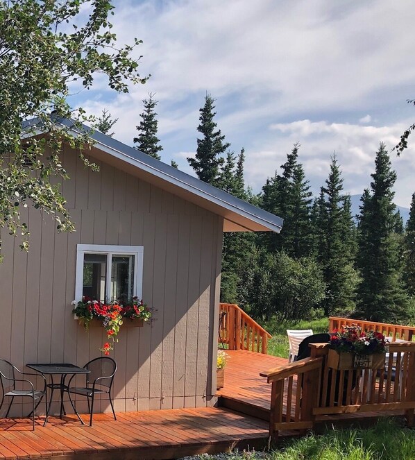 The flowers are happy on the sunny deck in July