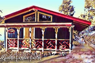 Ocean View Cabin located on Organic Coffee Farm with Hiking Trails