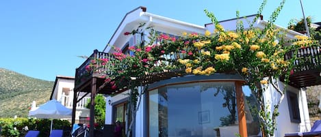 Villa Gin & Tonic - villa frontage and pool view 