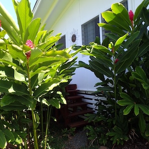 Entrance into Cottage