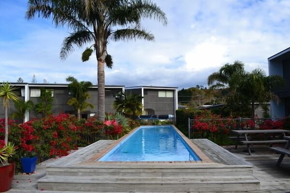 Shared Lap Pool