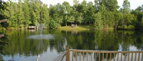 pond and fishing deck in back yard