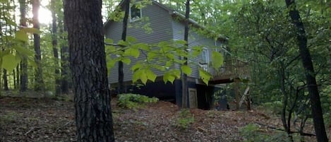 Side/Back View of Cabin