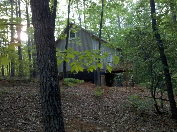 Side/Back View of Cabin