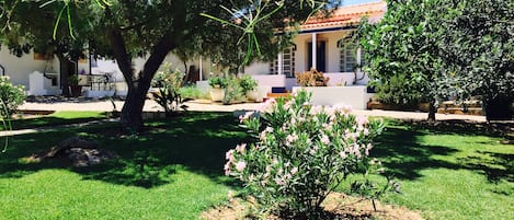 The house, view from the garden.