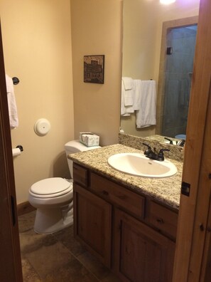 Lower floor bathroom sink and toilette