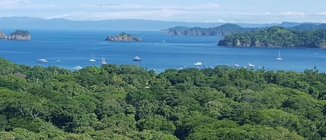 Spectacular Ocean Coastline view