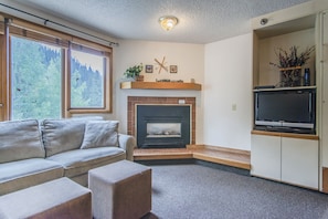 Living Area - Flat screen TV, gas fireplace.