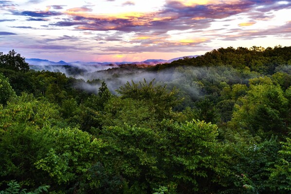 Taken from the back deck on September 1st 2018