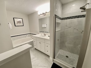 Completely renovated master bathroom