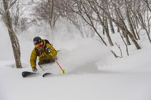 Snow and ski sports