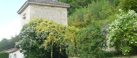 le pigeonnier vu du parc arboré