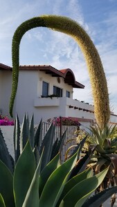 Hermosa vista al mar House @ Bajamar Golf Resort (Ensenada)