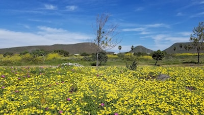 Hermosa vista al mar House @ Bajamar Golf Resort (Ensenada)