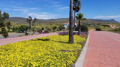 Hermosa vista al mar House @ Bajamar Golf Resort (Ensenada)
