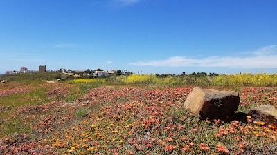 Hermosa vista al mar House @ Bajamar Golf Resort (Ensenada)