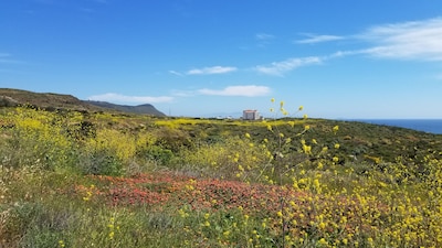 Hermosa vista al mar House @ Bajamar Golf Resort (Ensenada)