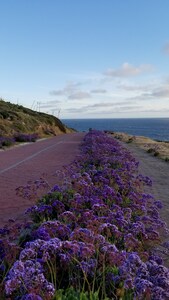 Hermosa vista al mar House @ Bajamar Golf Resort (Ensenada)