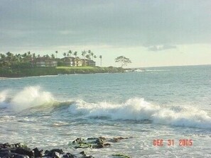 Truly A Paradise
