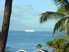 View From The Lanai