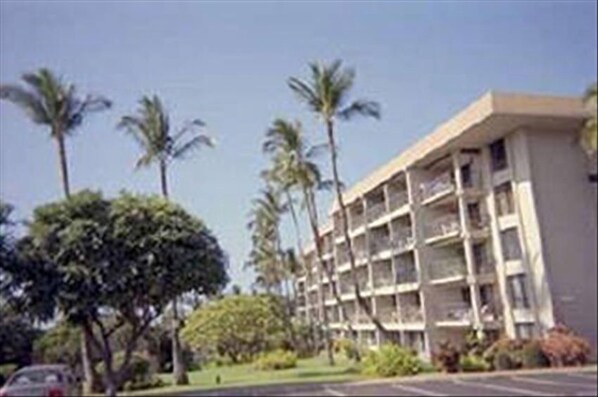 The Condo Building