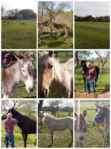 Rural Oasis - Cowboy's Private Room & Private Bathroom