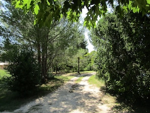 Property grounds