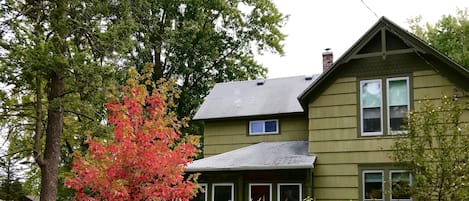 A large double lot of greenery