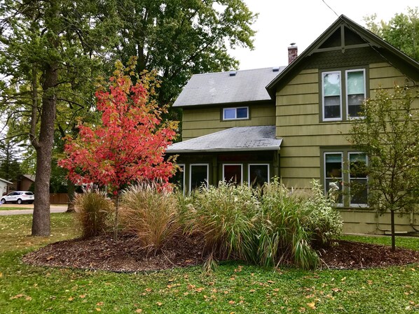 A large double lot of greenery