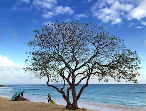 Our pristine, sandy beach is in a sheltered cove.