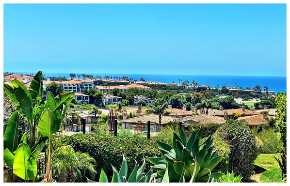 Ocean and Golf Course Views, Ritz Point Guard Gated , Ground Level -No Steps!