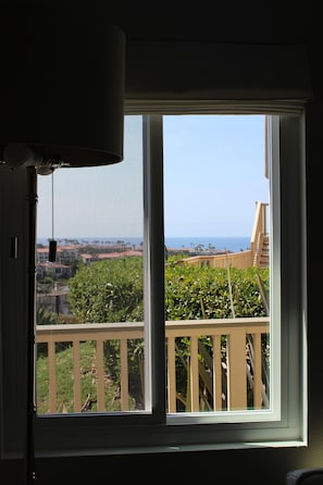 ocean view window from living room
