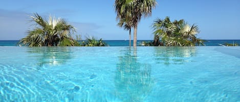 New infinity edge pool. Heated through winter months. Pool has sun shelf.