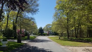 Our child safe street. Simmons Pond Circle, Hyannisport.