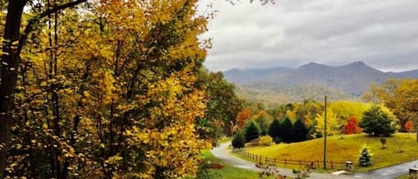 Fall is Amazing in the NE-GA Mountains!