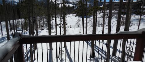 View of the slopes from the back deck.