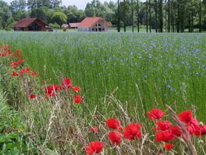 Overnatningsstedets område