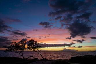 #239 Steps to Kamaole III Beach, New Kitchen 'Solid Gold Value' Maui Revealed