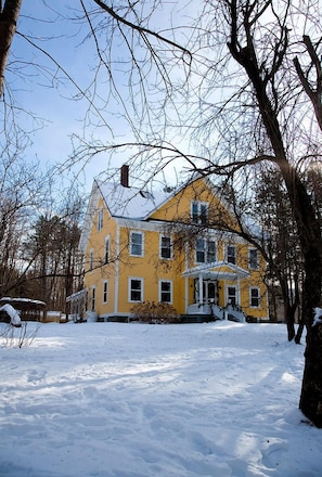 Front yard winter.