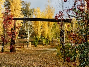 Morning Sun in Fall