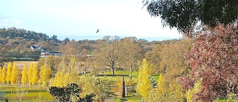 View from Ranch Headquarters