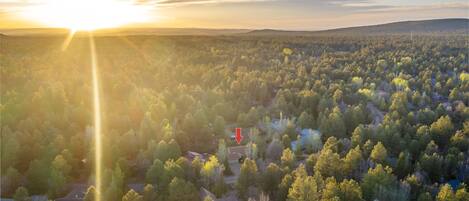 Overnatningsstedets område