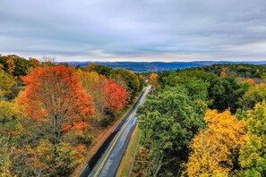 A drive like this to arrive at the cabin!  (Image capture from drones 10/13/19).