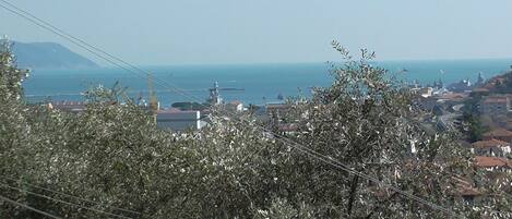 Beach/ocean view