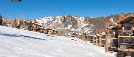 Sneeuw- en skisporten