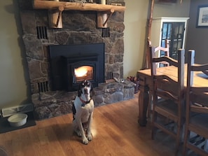Seymour in front of the wood pellet stove