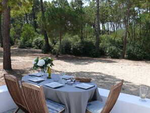 View of the woods and the dunes