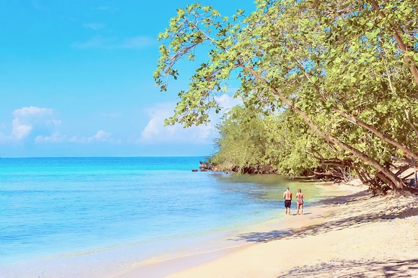 The beach is located 5 Minutes walk from your door.