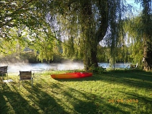 Morning Dew in backyard. View from the porch.