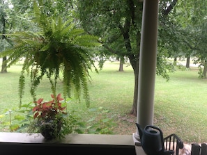 Front Porch looking out